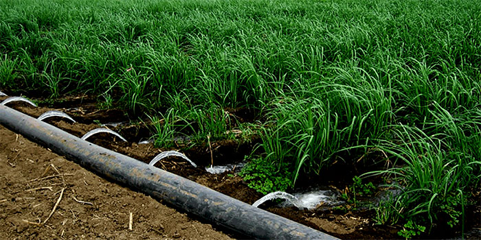 The need to use poly pipe Ethylene in agriculture