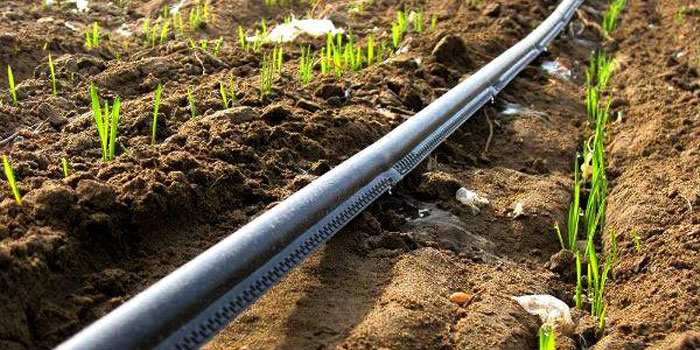 The most important applications of pipes Polyethylene in agriculture