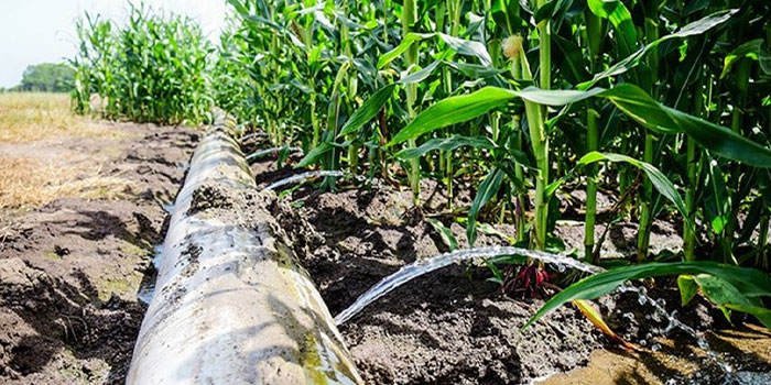 Use of polyethylene pipes In agricultural land