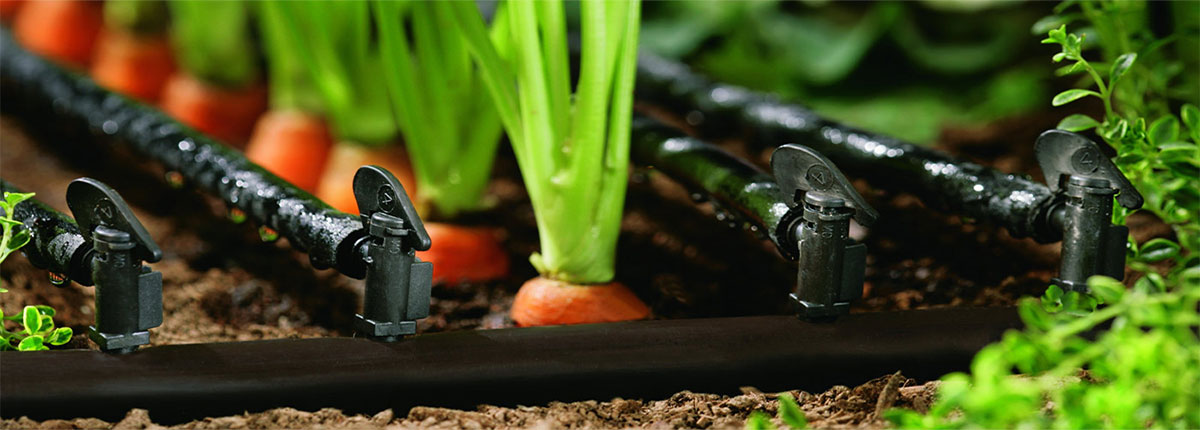  How long does the drip irrigation polyethylene pipe last?