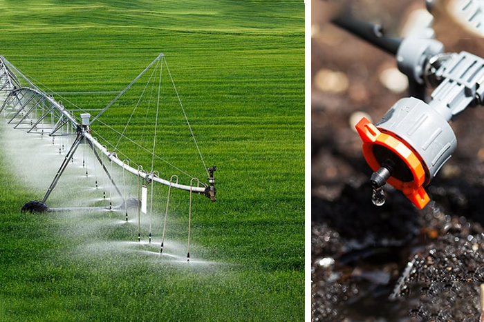 Difference between drip and rain irrigation